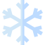 005-snowflake